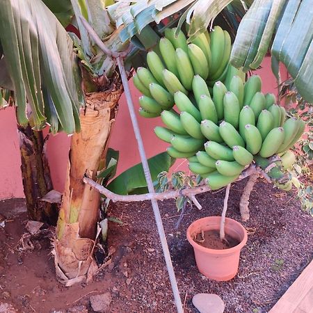Casita La Gomera San Sebastián de la Gomera 外观 照片