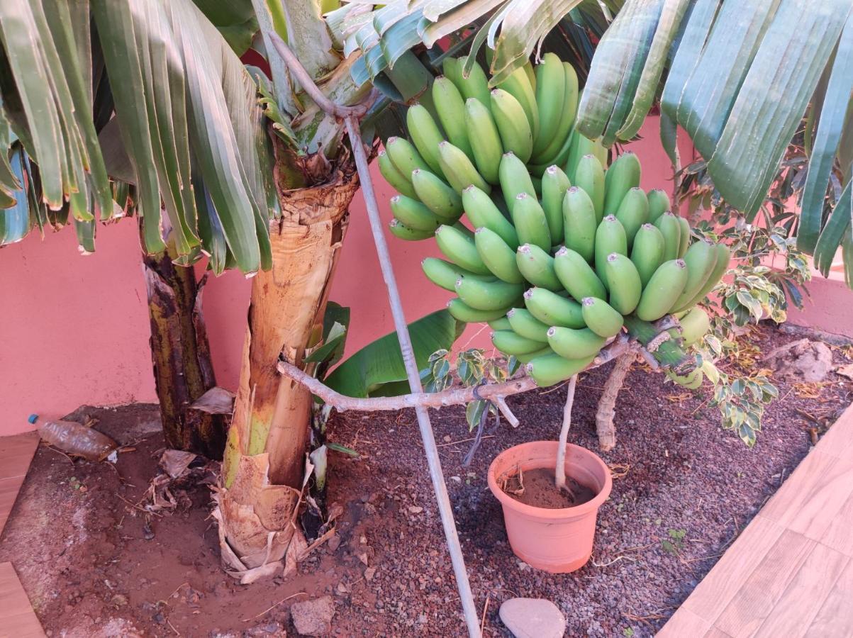 Casita La Gomera San Sebastián de la Gomera 外观 照片